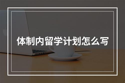 体制内留学计划怎么写