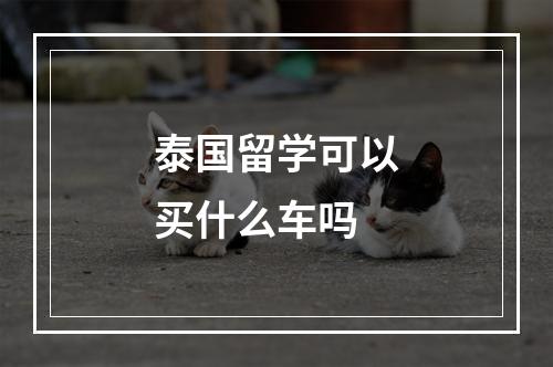 泰国留学可以买什么车吗