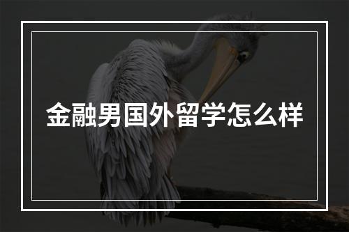 金融男国外留学怎么样