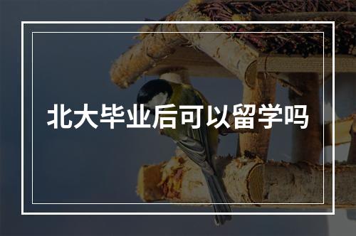 北大毕业后可以留学吗