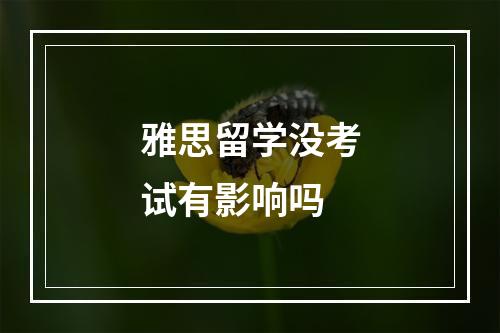 雅思留学没考试有影响吗