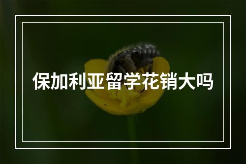 保加利亚留学花销大吗