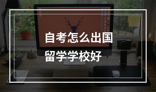 自考怎么出国留学学校好