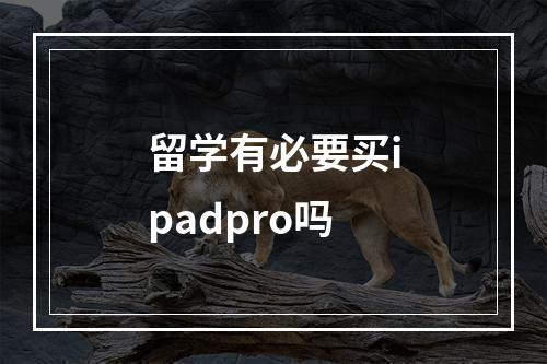 留学有必要买ipadpro吗