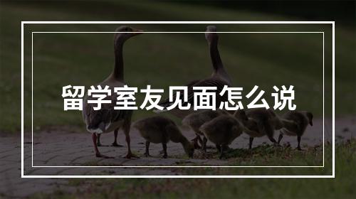 留学室友见面怎么说