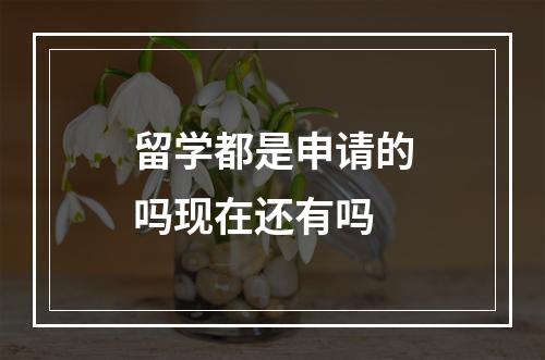 留学都是申请的吗现在还有吗