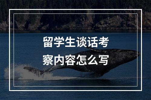 留学生谈话考察内容怎么写