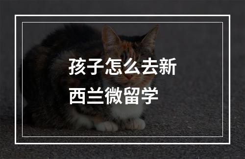 孩子怎么去新西兰微留学