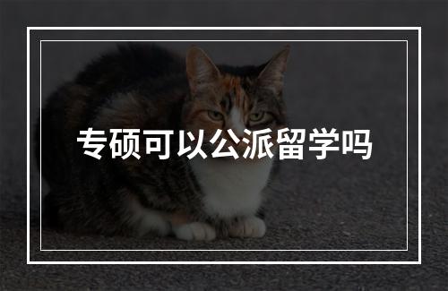 专硕可以公派留学吗