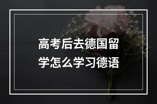 高考后去德国留学怎么学习德语