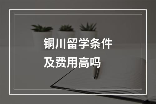 铜川留学条件及费用高吗