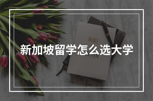 新加坡留学怎么选大学