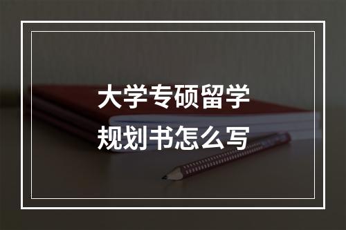 大学专硕留学规划书怎么写