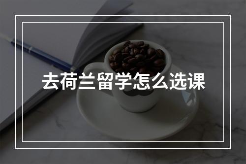 去荷兰留学怎么选课