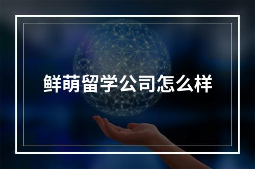 鲜萌留学公司怎么样