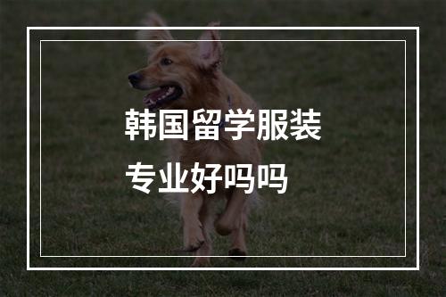 韩国留学服装专业好吗吗