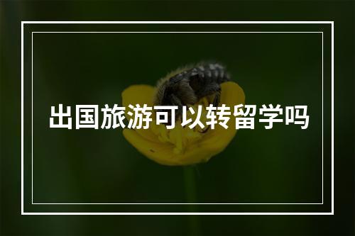 出国旅游可以转留学吗