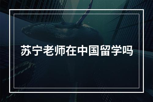 苏宁老师在中国留学吗