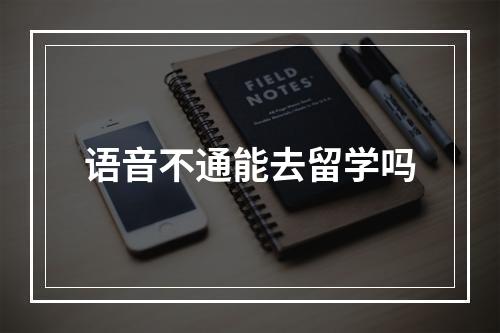 语音不通能去留学吗