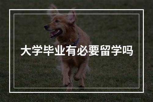 大学毕业有必要留学吗