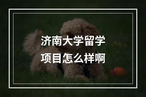 济南大学留学项目怎么样啊