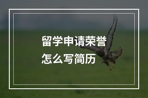 留学申请荣誉怎么写简历