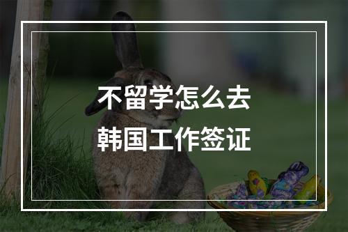 不留学怎么去韩国工作签证