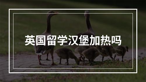 英国留学汉堡加热吗