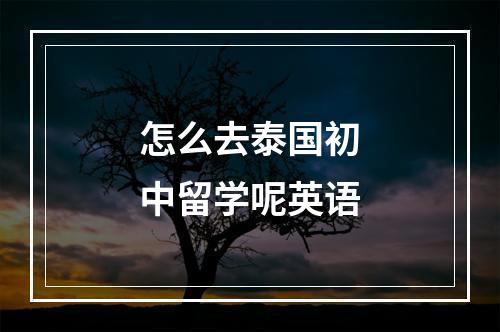 怎么去泰国初中留学呢英语