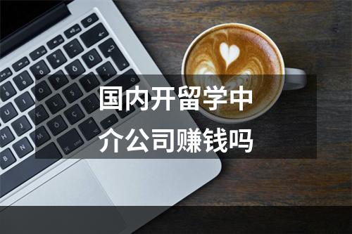 国内开留学中介公司赚钱吗