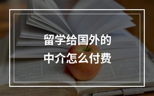 留学给国外的中介怎么付费