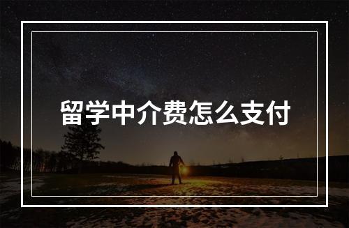 留学中介费怎么支付