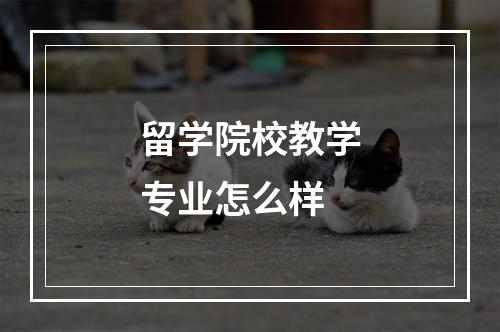 留学院校教学专业怎么样