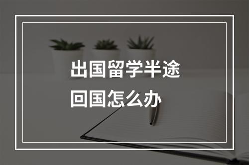 出国留学半途回国怎么办