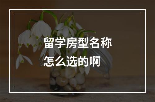 留学房型名称怎么选的啊