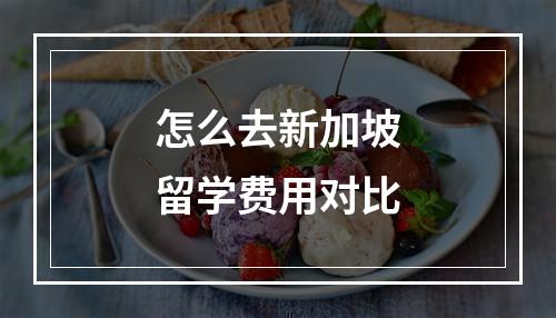 怎么去新加坡留学费用对比