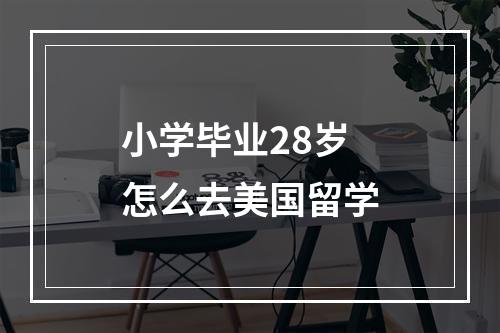 小学毕业28岁怎么去美国留学