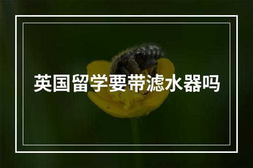 英国留学要带滤水器吗