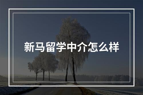 新马留学中介怎么样