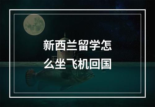 新西兰留学怎么坐飞机回国