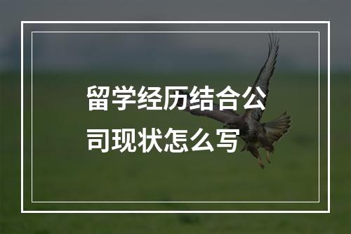 留学经历结合公司现状怎么写