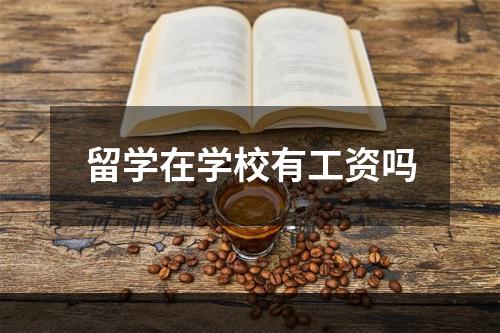 留学在学校有工资吗