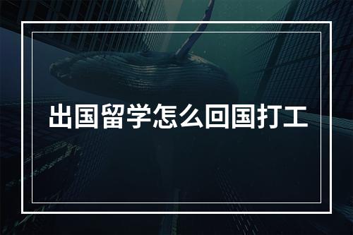 出国留学怎么回国打工