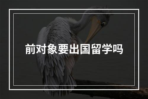 前对象要出国留学吗