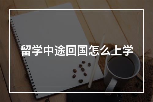 留学中途回国怎么上学