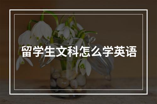 留学生文科怎么学英语