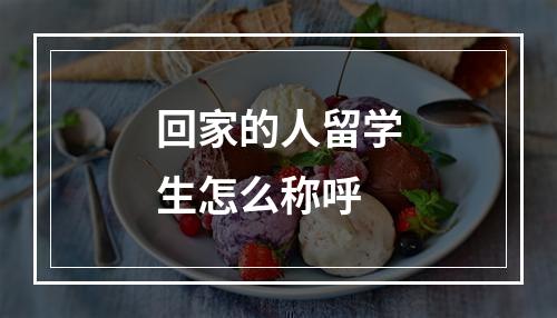 回家的人留学生怎么称呼