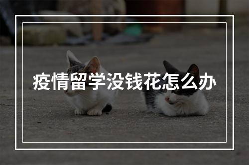 疫情留学没钱花怎么办