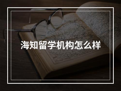 海知留学机构怎么样