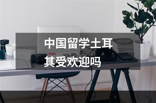 中国留学土耳其受欢迎吗